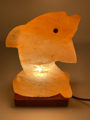 Dolphin Crafted Salt Lamp