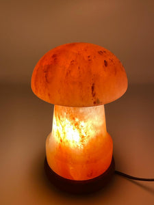 Mushroom Salt Lamps
