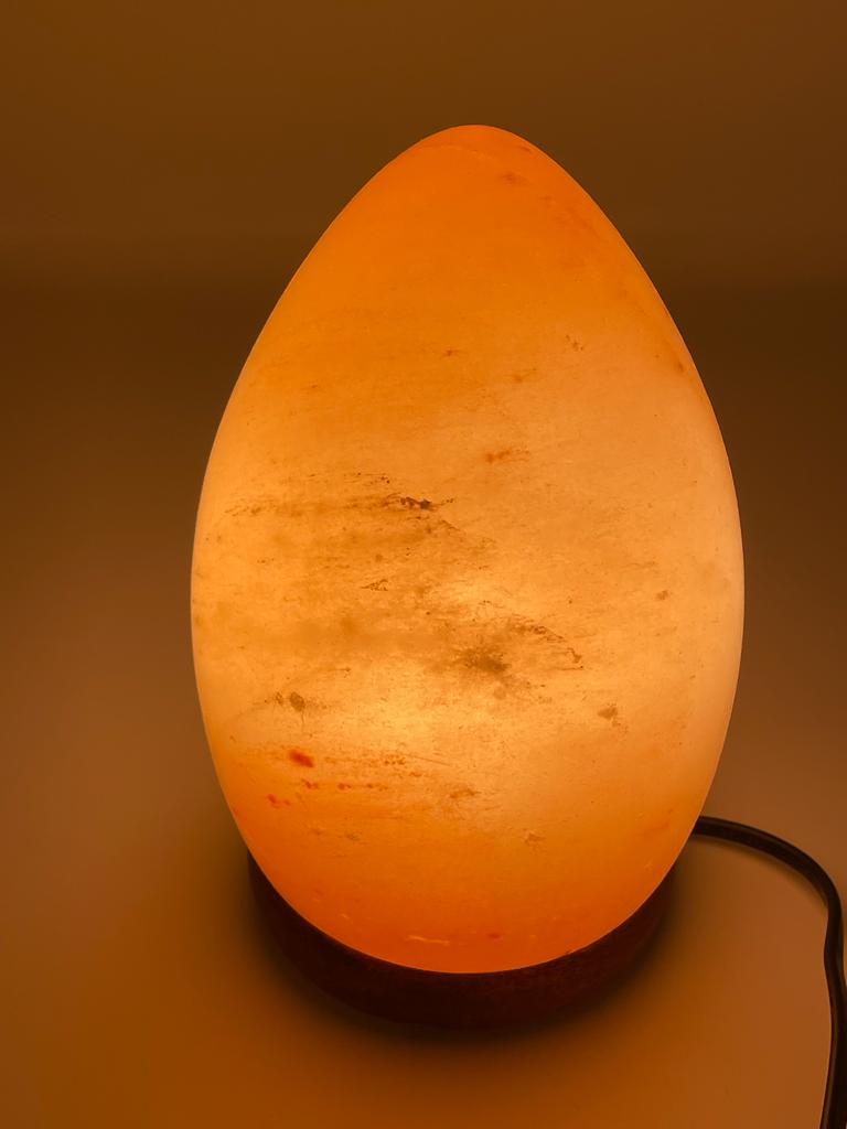 Egg Shape Crafted Salt Lamp - Crystalmines