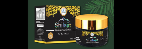 10 Surprising Benefits of Himalayan Mountain Shilajit