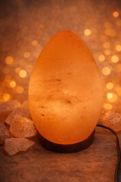 Egg Shape Crafted Salt Lamp