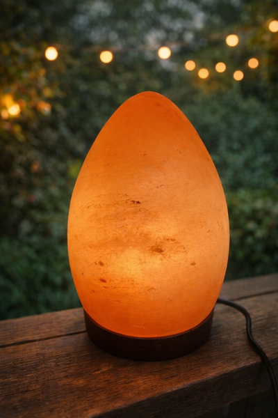 Egg Shape Crafted Salt Lamp