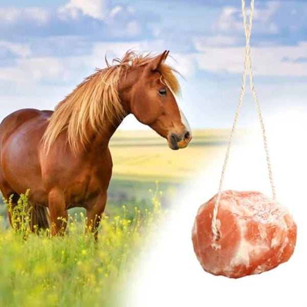 Himalayan Salt Lick 1kg For Animals by Crystal Mines Australia