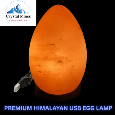 hand carved pink salt egg lamp with USB cord and timber base crystal mines Australia